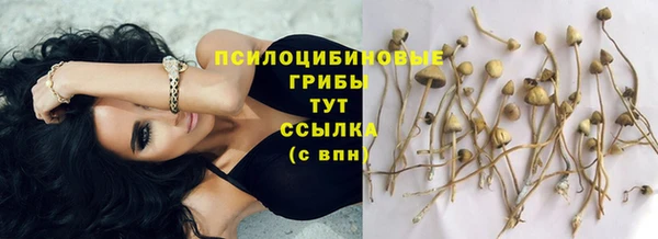 гашик Волосово