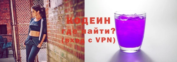 индика Верхний Тагил