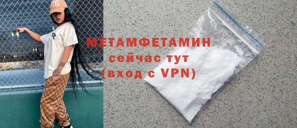 индика Верхний Тагил