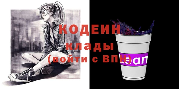индика Верхний Тагил