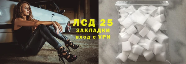 индика Верхний Тагил