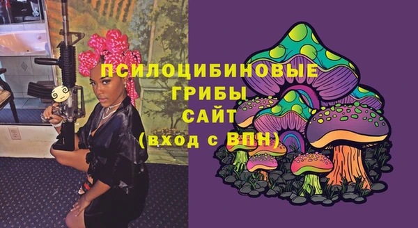 гашик Волосово