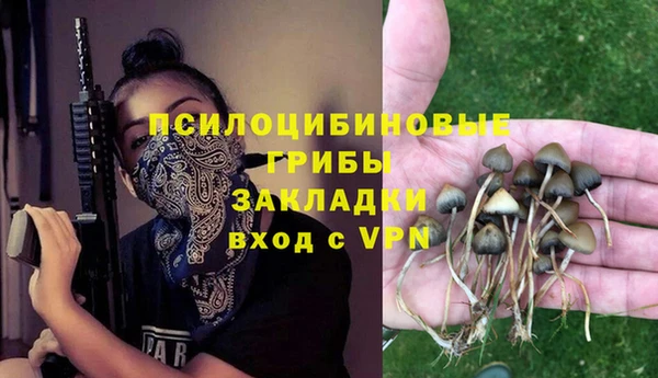 индика Верхний Тагил