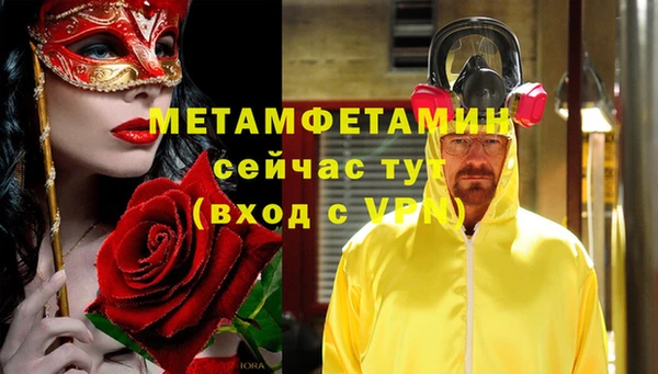 индика Верхний Тагил