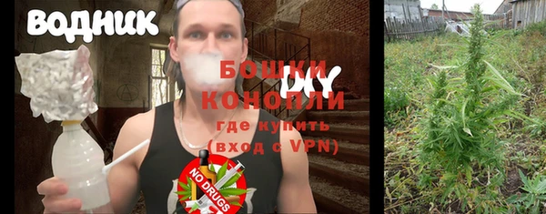 индика Верхний Тагил
