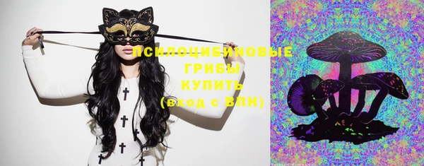индика Верхний Тагил