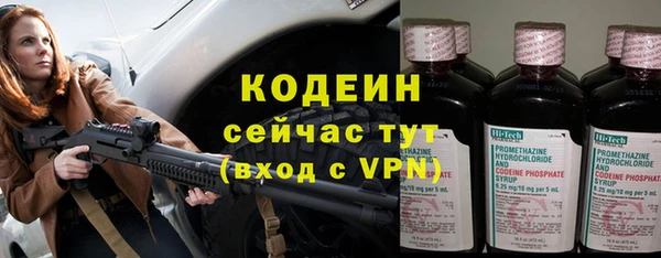 индика Верхний Тагил