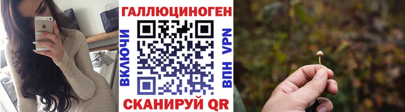 купить  цена  Калачинск  Галлюциногенные грибы GOLDEN TEACHER 